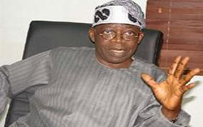 APC Primaries: Tinubu-anointed candidate defeats Fashola’s candidate, others 