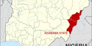 Adamawa PDP zoning no longer binding – Madaki 