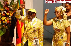 Mugabe’s wife begins plans to succeed husband