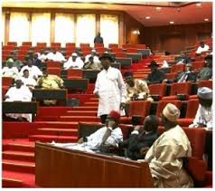 Senate considers bill to abolish degree, HND dichotomy