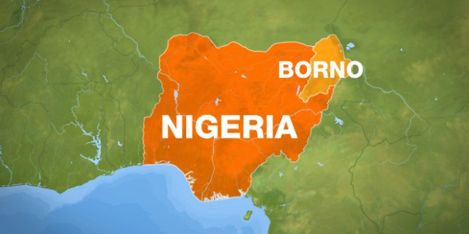 Terrorists Kill 17, Abduct 30 Youths In Borno