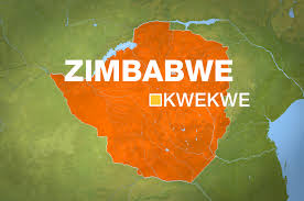 11 killed in Zimbabwe stampede