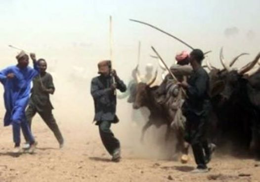42 killed in Zamfara by cattle rustlers