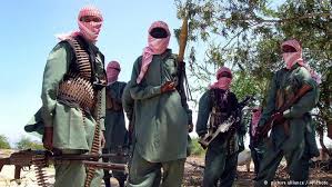 Al-Shabab militants hijack bus in Kenya, kill 28 non-Muslims on board, police say