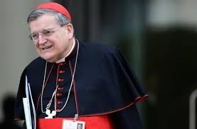 Cardinal Burke attacks Pope Francis, says   Catholic Church under him is 'a ship without a rudder'