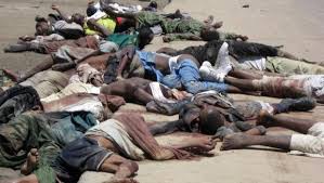 Civilian JTF Killed 41 Suspected Boko Haram Fighters