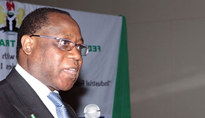 Aganga Says Nigeria Accounts For 75% New Investments In Africa