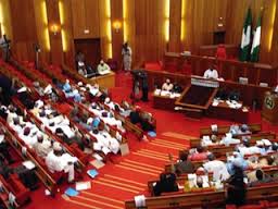 Senate Move To Establish N/Assembly Police Force