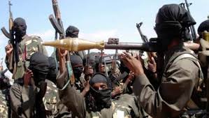 109 Boko Haram militants killed in first attack in Niger