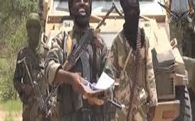 Boko Haram kidnaps at least 185 people in Nigeria