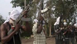 Terrorists kill 32, kidnap wives, daughters in Borno 