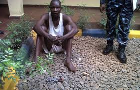 Man arrested 5 yrs after duping yam seller