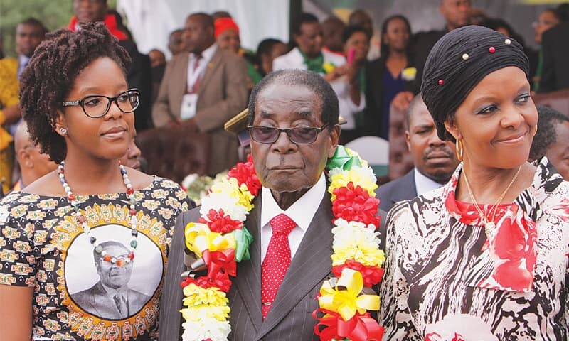 Elephants slaughtered for Mugabe's birthday bash