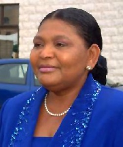Senate Committee probes sale of Cecilia Ibru's forfeited assets