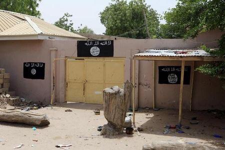 Boko Haram seizes Lake Chad island from Nigerien soldiers, kills many soldiers