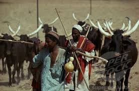 Fulani herdsmen and condoned terrorism
