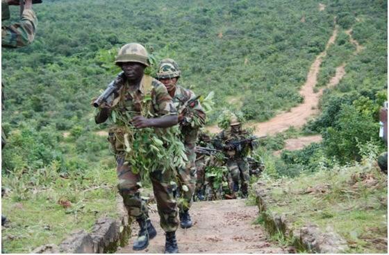 Land mines hamper military's final push in Sambisa Forest