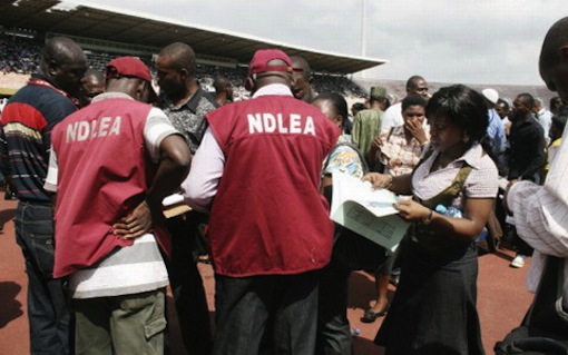 NDLEA arrests 277, impound 2003.6 kg of illicit drugs in Kano