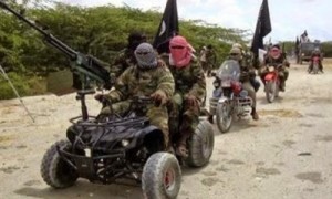 Boko Haram waxing stronger, captures 5 LGAs in Yobe, Borno States