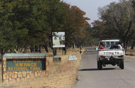 Zimbabwe lion kills tourist guide in Cecil's park
