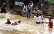 Flood kills 6-year-old boy, submerges 116 communities in Adamawa