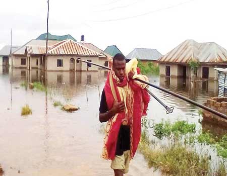 300 residents sacked as River Benue overflows, submerges houses