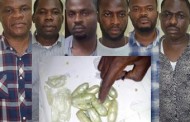 NDLEA apprehends 6 for swallowing $156,000 for export to Brazil