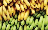 How banana chemicals stop HIV/AIDS, by study