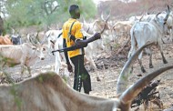 Yoruba leaders protest attack by Fulani herdsmen