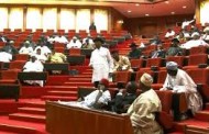 Senate confirms  Fashola, Ngige, Danbazzau as ministers, defers Amaechi, others