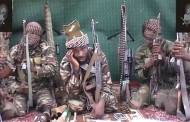 Boko Haram poisons drinking water sources in Borno
