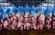 Should we stop eating meat? No, experts say