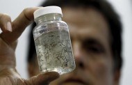 Zika transmitted not just mosquitoes but through sexual also: scientists