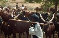 Again, Fulani herdsmen invade Uzo-Uwani, Enugu State;  2 persons killed, 19 others missing