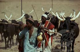 Fulani herdsmen kill 10 in Benue communities