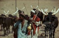 Herdsmen take oath in Ekiti to stop killings