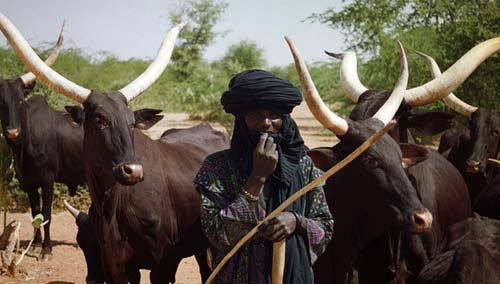 Fulani herdsmen are jihadists: Christian elders