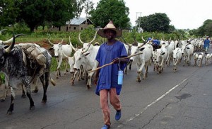 Again, herdsmen invade Benue community, kill 14 residents