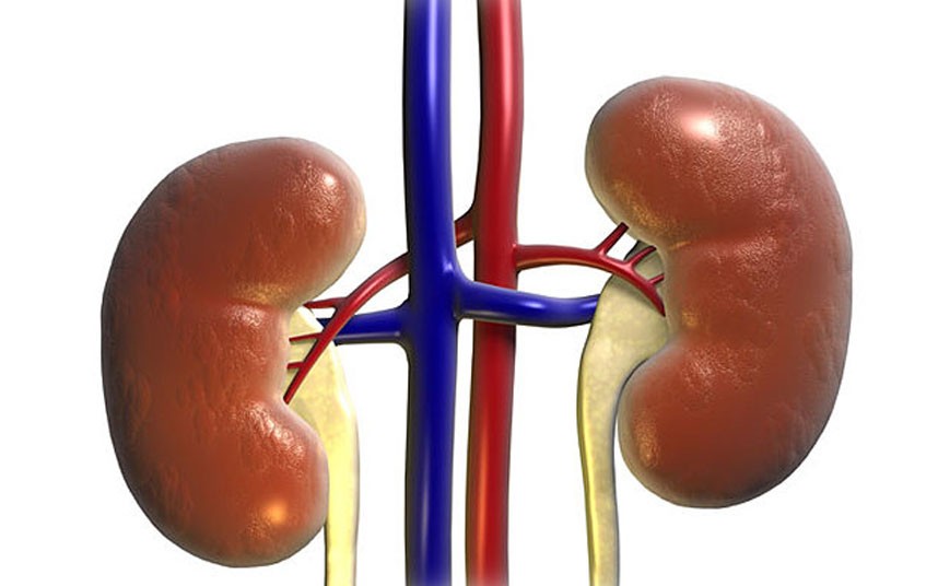 Adamawa doctor accused of harvesting patient’s kidney