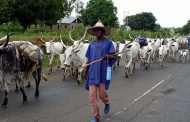 Fulani herdsmen invade Enugu community, kill two; raze down houses