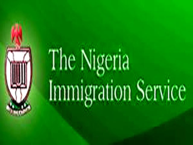FG introduces liberalised online visa on arrival for  foreign investors,