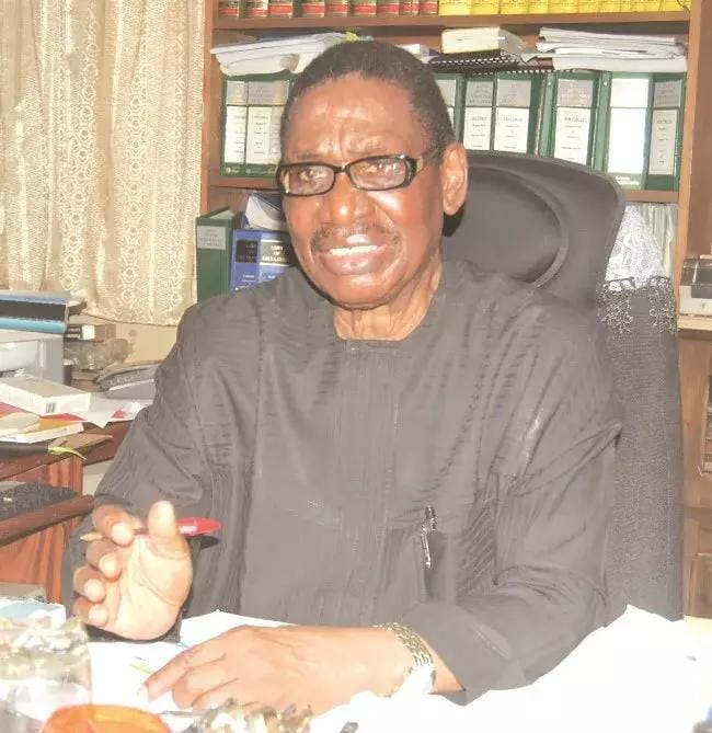 Nigerians should be allowed to bear arms to defend themselves: Itse Sagay