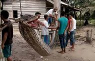 Man fights and kills 23ft reticulated python which left him with horror injuries