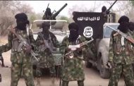 Boko Haram ambushes vehicle convoy, kills 30 in Borno