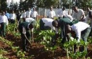 CBN to engage 400,000 youths in farming  under AADS scheme