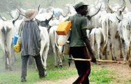 Buhari backs open grazing as practised in 1st Republic