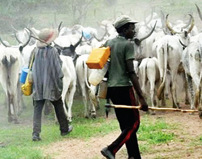 South-East govs, Ortom, Ishaku, others reject FG’s Ruga settlements for herdsmen