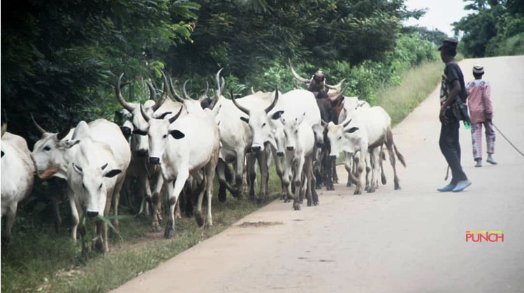 Police react to report of youths chasing away herdsmen from Enugu