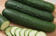 Cucumber as man’s best food – Research