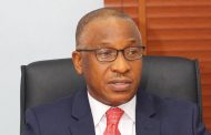 FG to sell  NIGCOMSAT, 10 NIPPs this year: BPE